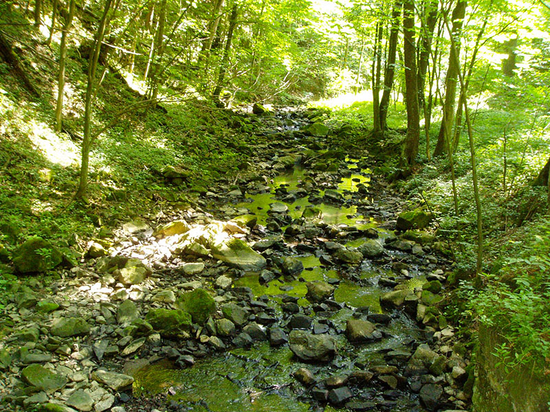 4.7.2015 - Železné hory