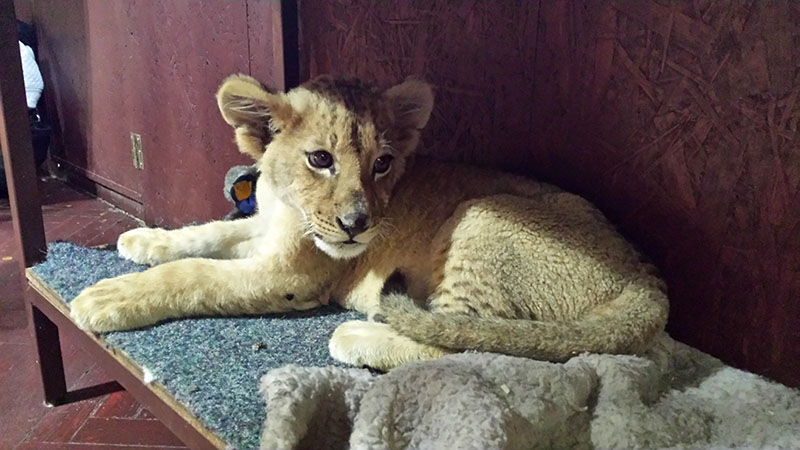 5.8.2014 - Terarium Praha