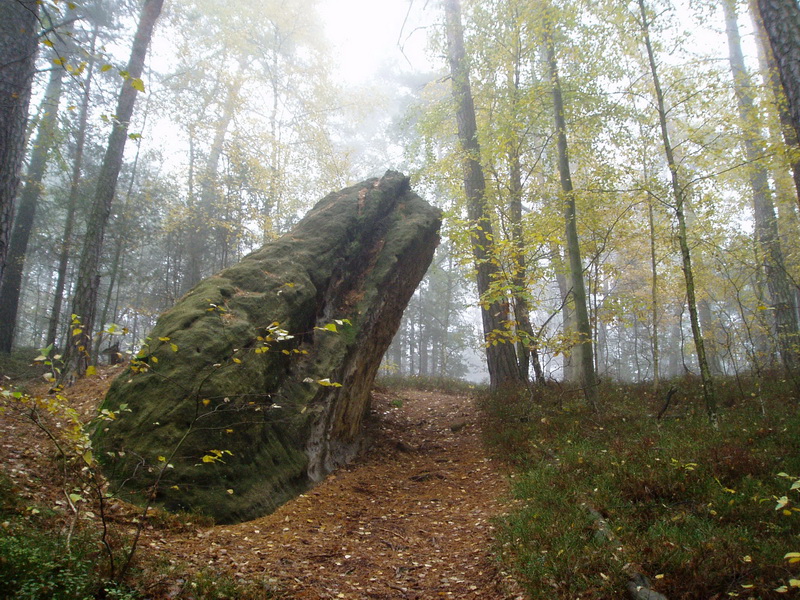 28.10.2011 - Roverky