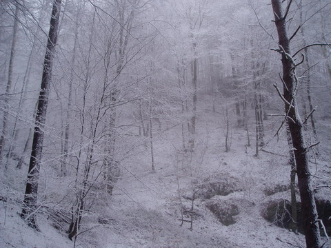 2.3.2007 - Kokořínsko