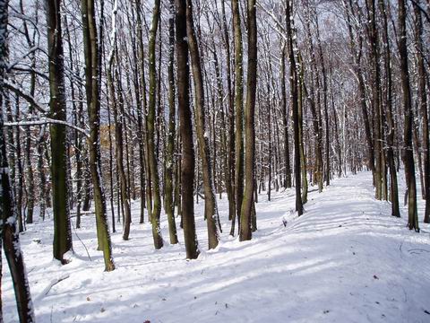 9.11.2007 - Kokořínsko
