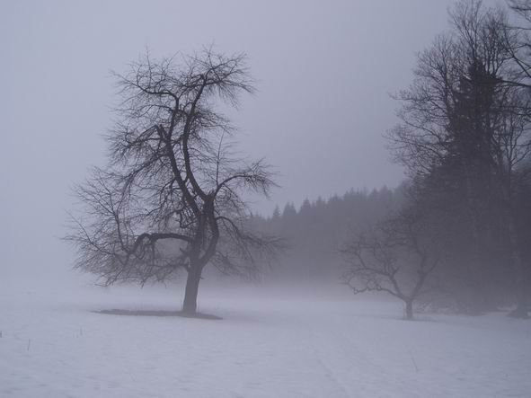 25.3.2005 - Broumovsko